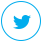 Twitter Icon