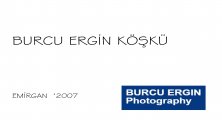 reference